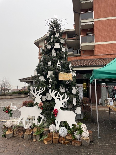 Concerto di Natale (dicembre)